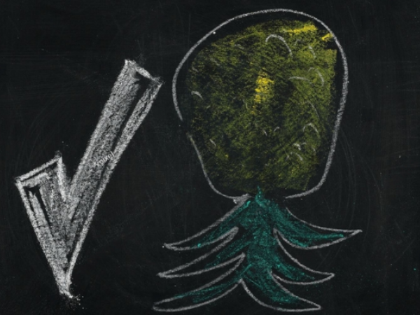 Swinger Code of upside down pineapple, check hand draw chalk on chalkboard, blackboard texture